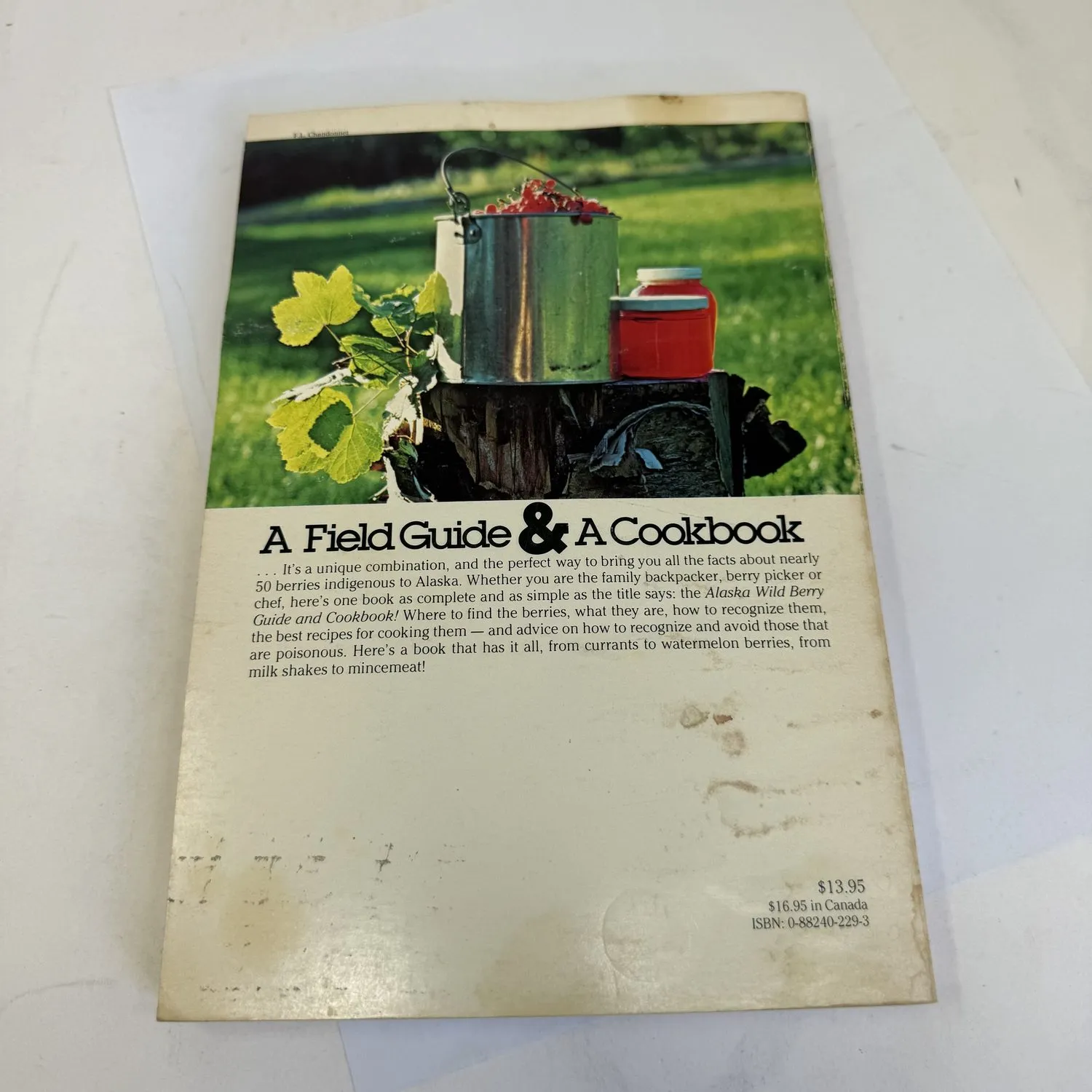 Back cover of Alaska Wild Berry Guide and Cookbook showing photograph of berry-picking camp with pots and red cooler on green grass, below the heading A Field Guide and A Cookbook in decorative type, describing nearly 50 berries indigenous to Alaska with identification and recipes from currants to watermelon berries from milk shakes to mincemeat. $13.95 US $16.95 in Canada ISBN 0-88240-229-3.