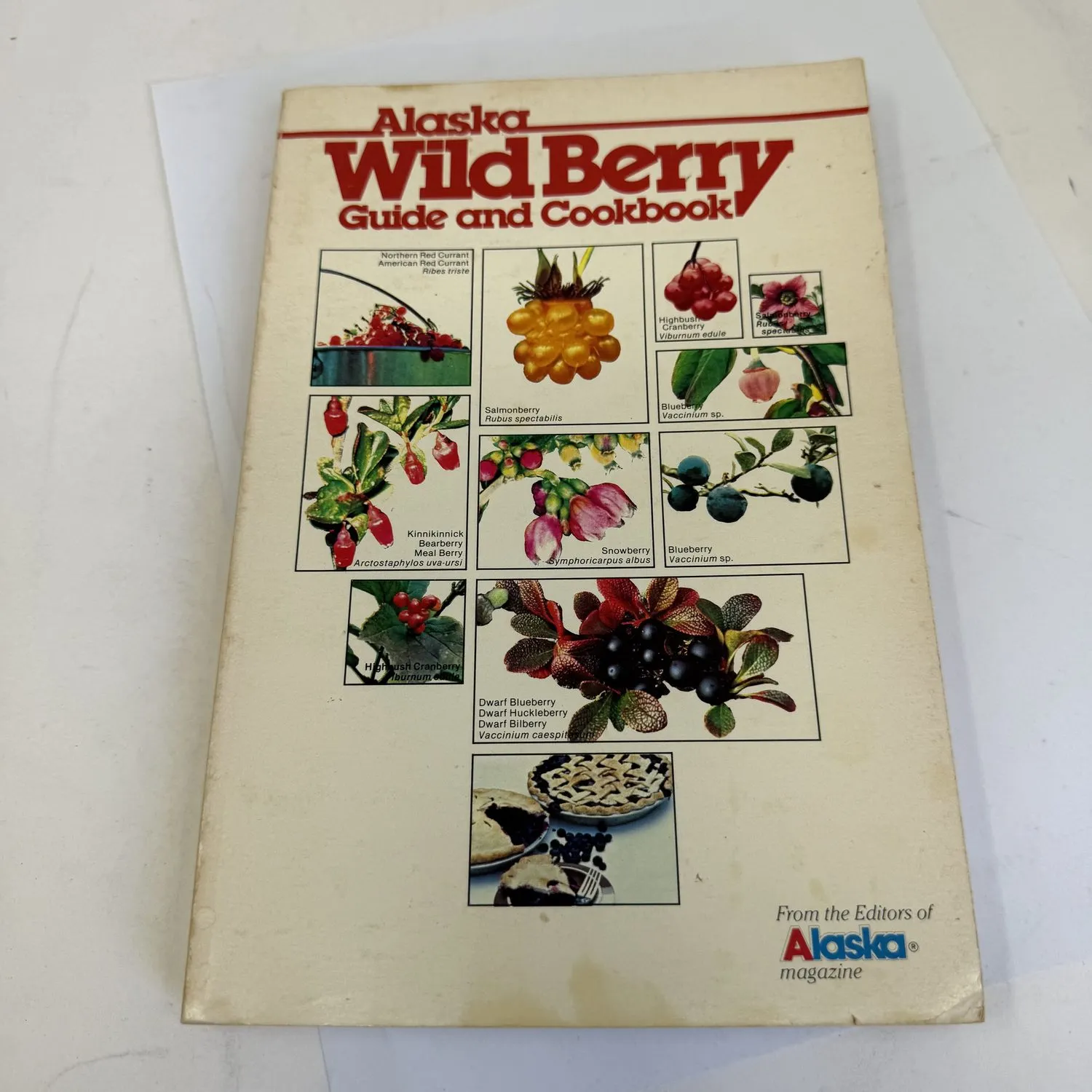Front cover of Alaska Wild Berry Guide and Cookbook from the Editors of Alaska Magazine, Alaska Northwest Publishing Company 1982, cream cover with grid of botanical berry illustrations including red currants, cloudberry, highbush cranberry, bearberry, snowberry, blueberry, and dwarf bilberry, each labeled with common and scientific names in red and black type. Found in a New Mexico estate cleanout by the New Mexico Literacy Project.