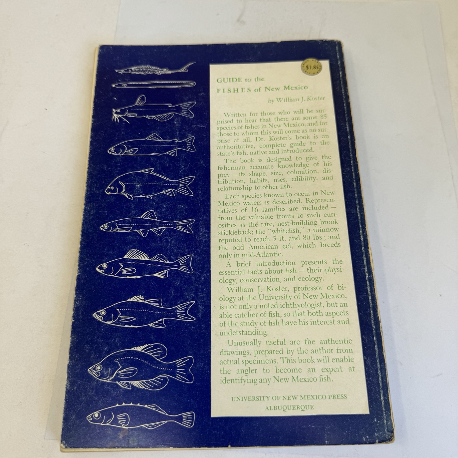 Back cover of Guide to the Fishes of New Mexico by William J. Koster — blue background with white fish illustrations along left side. Full book description and author biography. Original $1.85 price sticker. University of New Mexico Press, Albuquerque imprint.