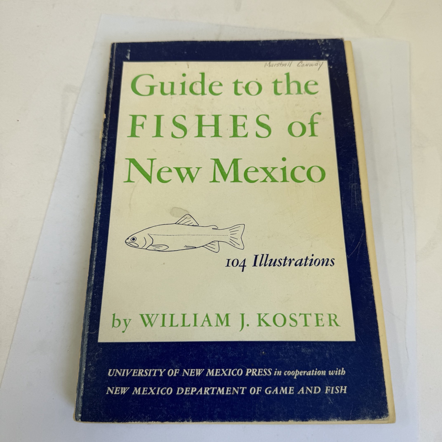 Front cover of Guide to the Fishes of New Mexico by William J. Koster — 1957 first edition. Blue border, cream center panel, green lettering with fish line drawing illustration. States 104 Illustrations. Published by University of New Mexico Press in cooperation with New Mexico Department of Game and Fish. Previous owner inscription in pencil on front cover.