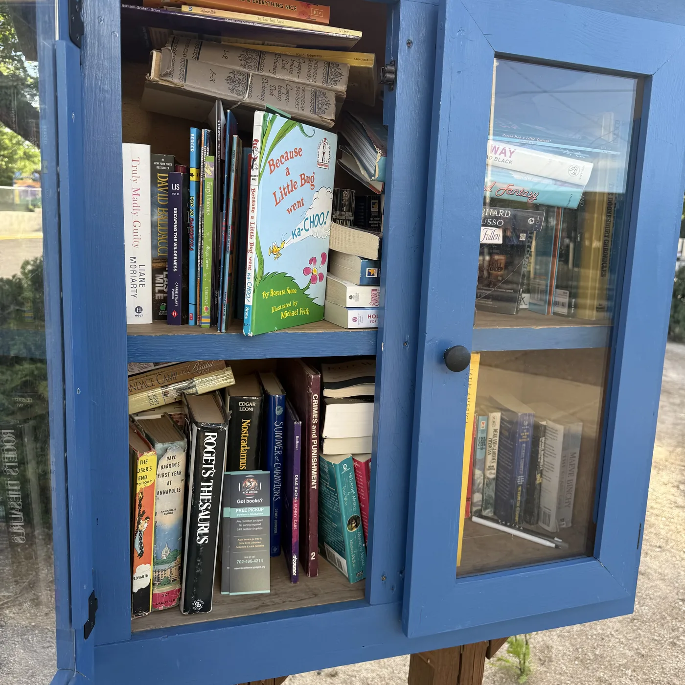 A brightly painted Little Free Library with paw prints inside, restocked with NMLP donations including Khaled Hosseini, Tim O'Brien, Stephen King, Eckhart Tolle, Rick Steves Paris — Sunday May 10 2026 loop
