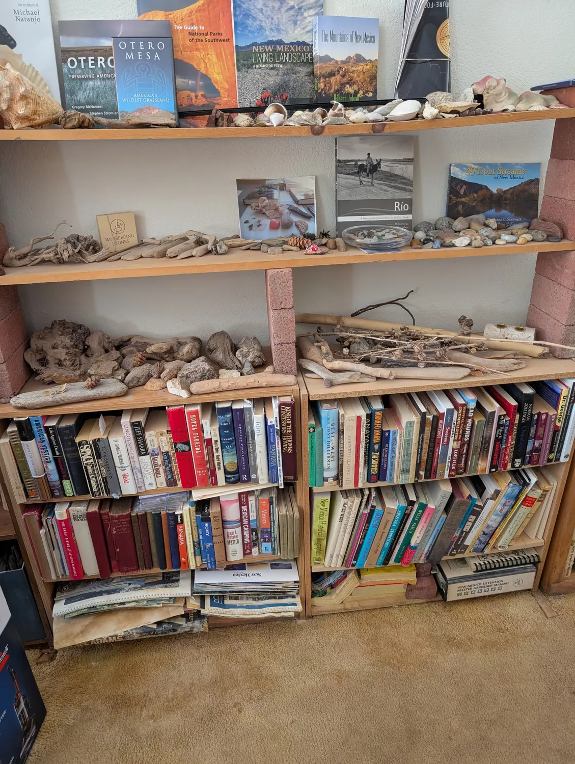 A New Mexico estate bookshelf with Southwest regional titles including Otero Mesa and New Mexico tourism guides on the top shelf, collected rocks and driftwood from the Rio Grande on the middle shelves, and decades of well-read hardcovers and paperbacks below — photographed during an estate evaluation by Josh Eldred of the New Mexico Literacy Project in Albuquerque